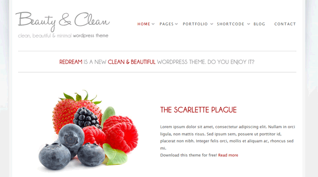 Website_blog_minimal-wordpress-theme-021